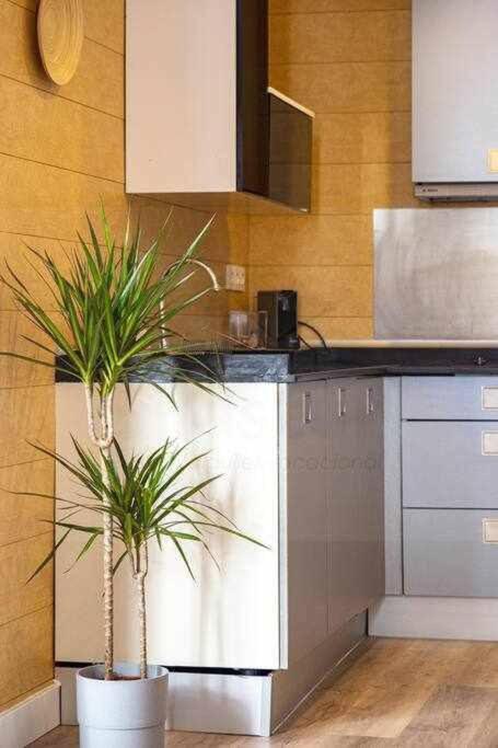 Puerto 1Llanes Suites By Silastur Kültér fotó